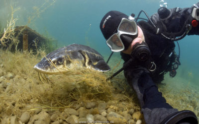 Mal schnell den Kopf unter Wasser stecken – am D.Loch im Allgäu