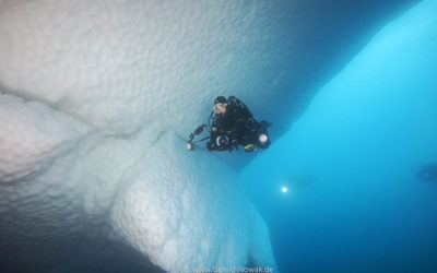 Eiskalt abgetaucht – Eistauchen in der Antarktis